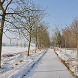 Winter in Lommel